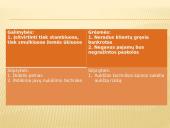 Verslo idėjos 4 puslapis