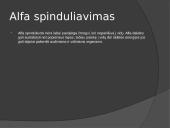 Radiacijos poveikis 4 puslapis