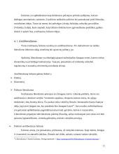 Fašizmo valstybės doktrina 11 puslapis