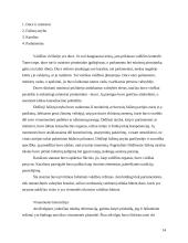 Fašizmo valstybės doktrina 14 puslapis