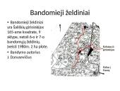Paprastosios pušies Šališkių plantacijos klonų sėklinių palikuonių bandomieji želdiniai 2 puslapis