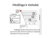 Paprastosios pušies Šališkių plantacijos klonų sėklinių palikuonių bandomieji želdiniai 5 puslapis