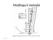 Girionių paprastosios eglės plantacijos klonų sėklinių palikuonių bandomieji želdiniai 5 puslapis