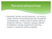 Gamtos išteklių naudojimas, apsauga, atkūrimas, pažeistų žemių rekultivavimas, renatūralizavimas 14 puslapis