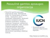 Gamtos išteklių naudojimas, apsauga, atkūrimas, pažeistų žemių rekultivavimas, renatūralizavimas 7 puslapis