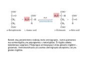 Baltymų apykaita 11 puslapis