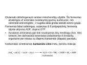 Baltymų apykaita 14 puslapis