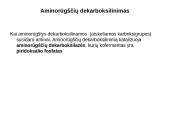 Baltymų apykaita 15 puslapis