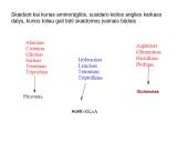 Baltymų apykaita 20 puslapis