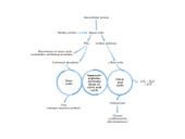 Baltymų apykaita 3 puslapis