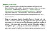 Baltymų apykaita 5 puslapis