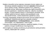 Baltymų apykaita 6 puslapis