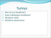 Biudžetas projektinis darbas  2 puslapis