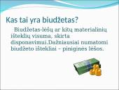 Biudžetas projektinis darbas  3 puslapis