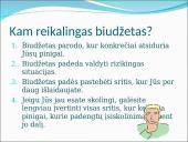 Biudžetas projektinis darbas  4 puslapis