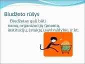 Biudžetas projektinis darbas  5 puslapis