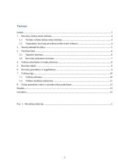 Vežimo sutarties sudarymo pagrindai ir principai 2 puslapis