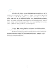 Vežimo sutarties sudarymo pagrindai ir principai 3 puslapis