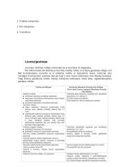 Transporto rūšys ir joms keliami teisiniai reikalavimai 4 puslapis