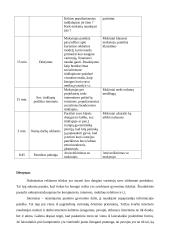 Pamokos planas "Socialinių tinklapių reklama, komunikavimas virtualioje erdvėje" 2 puslapis