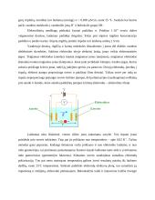 Pramoniniai jutikliai 20 puslapis
