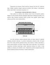 Pramoniniai jutikliai 8 puslapis