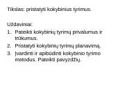 Informacija apie kokybinio tyrimo atlikimą, pavyzdžiai 2 puslapis