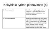 Informacija apie kokybinio tyrimo atlikimą, pavyzdžiai 11 puslapis