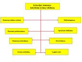 Informacija apie kokybinio tyrimo atlikimą, pavyzdžiai 12 puslapis