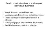 Informacija apie kokybinio tyrimo atlikimą, pavyzdžiai 7 puslapis