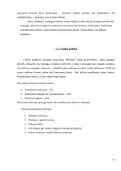 Verslo planas. Baro paslaugos IĮ „Bildukas“ 12 puslapis