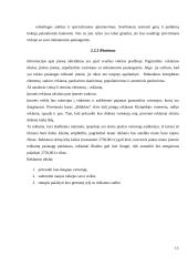 Verslo planas. Baro paslaugos IĮ „Bildukas“ 13 puslapis