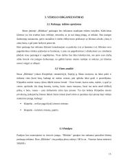 Verslo planas. Baro paslaugos IĮ „Bildukas“ 15 puslapis