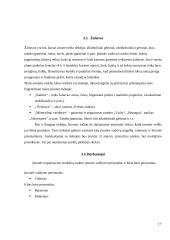 Verslo planas. Baro paslaugos IĮ „Bildukas“ 17 puslapis