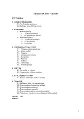 Verslo planas. Baro paslaugos IĮ „Bildukas“ 3 puslapis