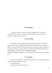 Verslo planas. Baro paslaugos IĮ „Bildukas“ 6 puslapis