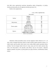 Verslo planas. Baro paslaugos IĮ „Bildukas“ 7 puslapis