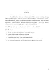 Klintys 2 puslapis