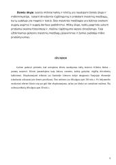 Klintys 9 puslapis
