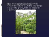 Pristatomasis darbas apie Kroatiją 11 puslapis