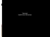 Pristatomasis darbas apie Kroatiją 12 puslapis