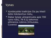 Pristatomasis darbas apie Kroatiją 8 puslapis