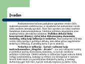 Nedarbas ir infliacija skaidrės 2 puslapis