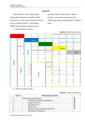 IT praktinis darbas 3 puslapis
