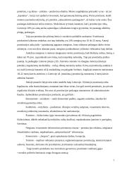 Prostitucija. Pasėkmės ir priežastys 5 puslapis