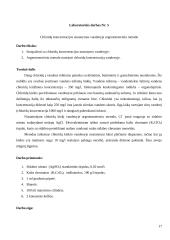 Vandenų apsaugos laboratoriniai darbai 17 puslapis