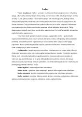 Grupinio darbo tobulinimas 2 puslapis