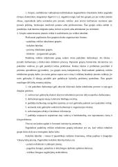 Grupinio darbo tobulinimas 12 puslapis