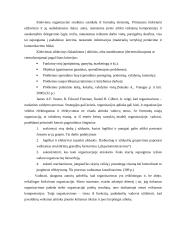 Grupinio darbo tobulinimas 4 puslapis