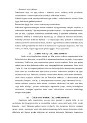 Grupinio darbo tobulinimas 9 puslapis